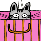 Half Full en Español