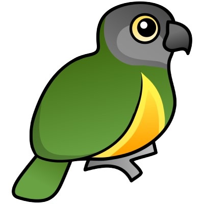 0078 cute birdorable senegal parrot photosculpture p15314642156919951235xz 400