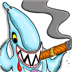 Shark avatar2 web
