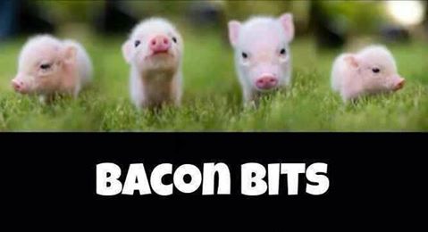 Bacon bits