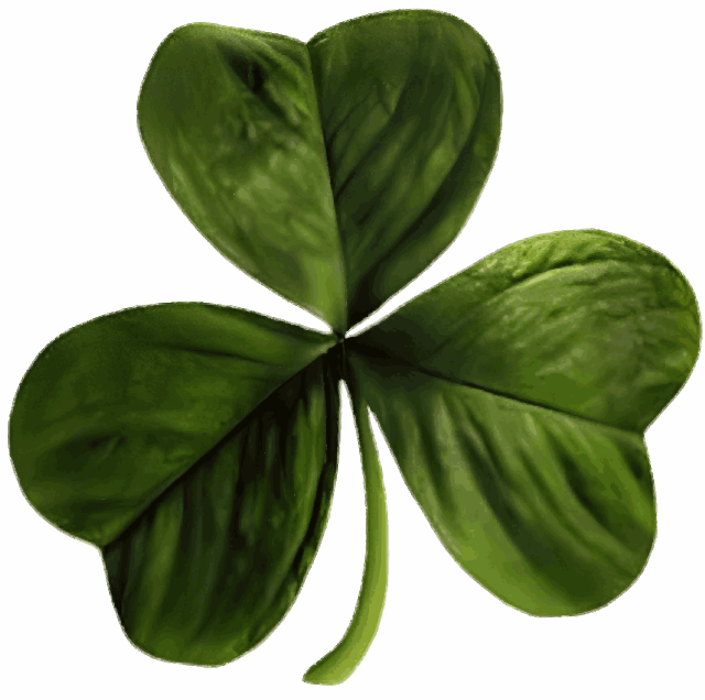 Irish clover.svg