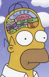 Homer s brain