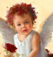 Baby angel with roses a