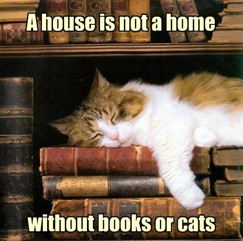 Bookwormcat