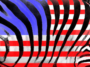 Patrioticzebrasm