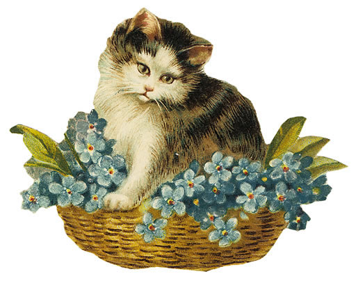Victorian kitten