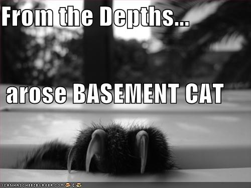 Funny pictures basement cat clw