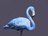 Blue flamingo