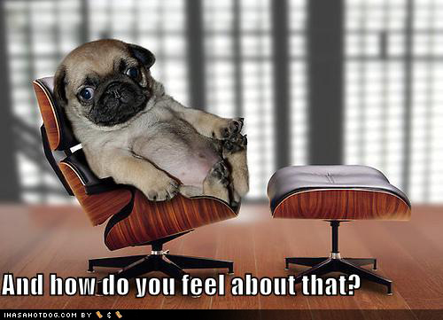 Funny dog pictures psychiatrist pug