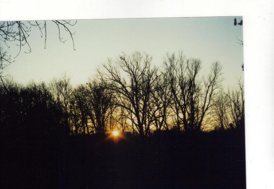 2008nov sunrise2