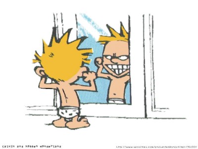 Calvin hobbes mirror small 