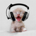  gif    headphone kitty