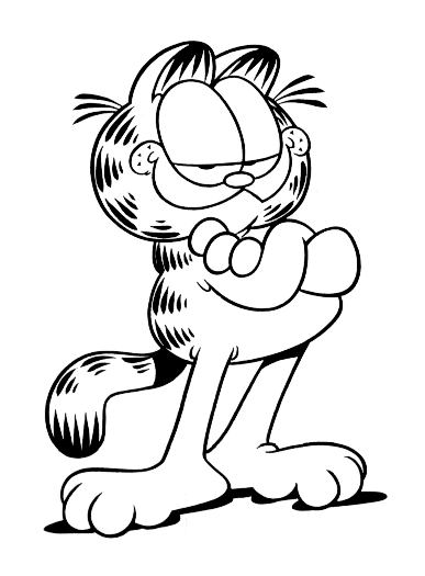 Garfield the cat 1071