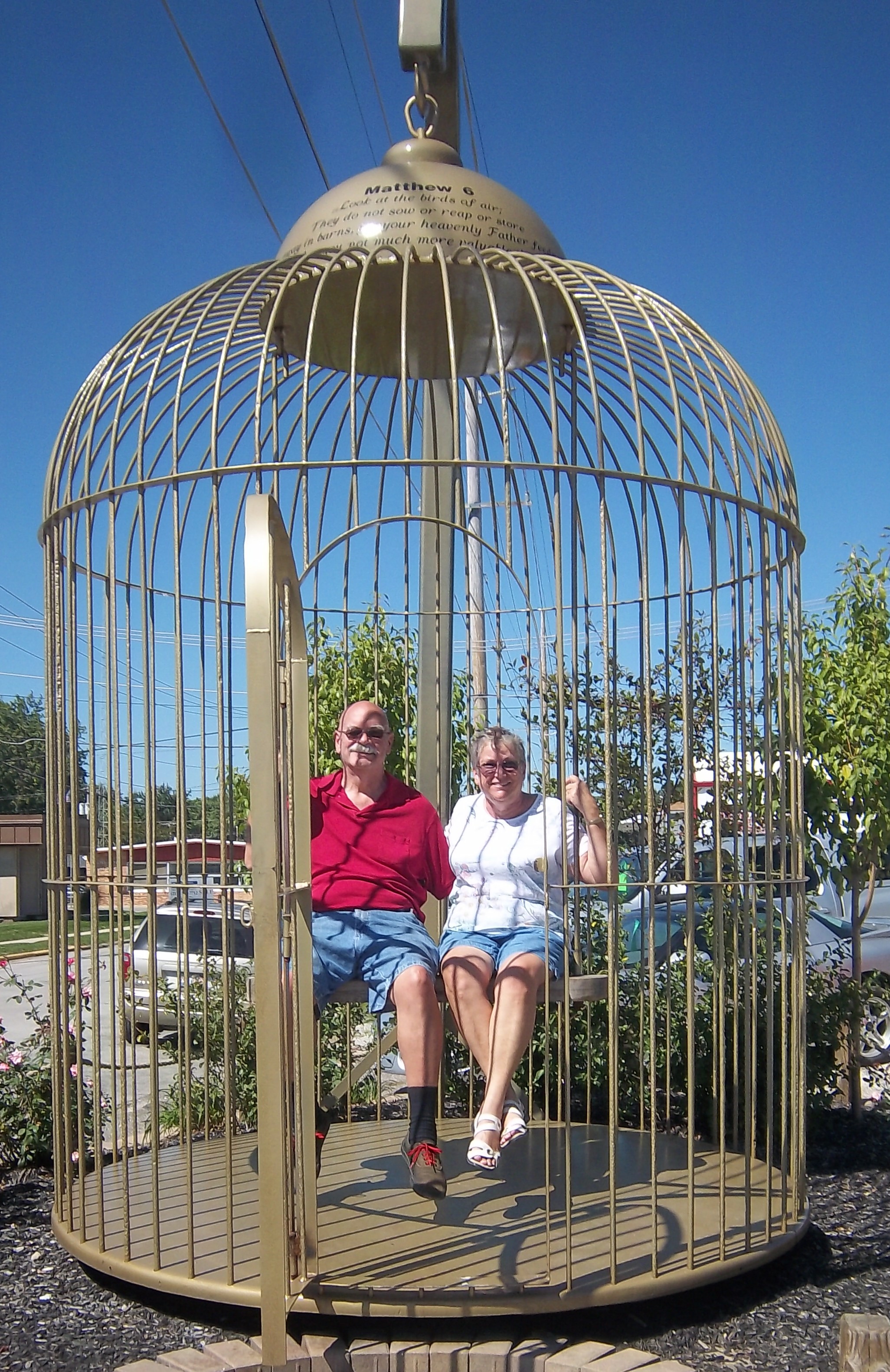 Big bird cage 2a