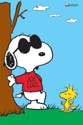 Snoopy  joe cool  maxi posters 331290