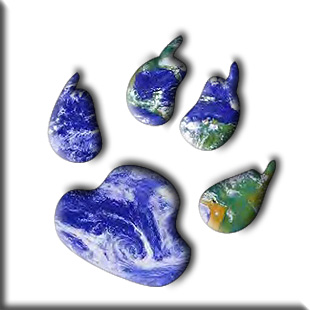 Earthpaw