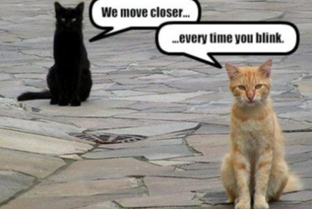 Funny moving pictures 3
