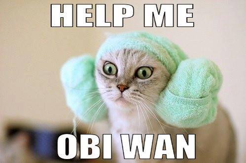 Help me obi wan