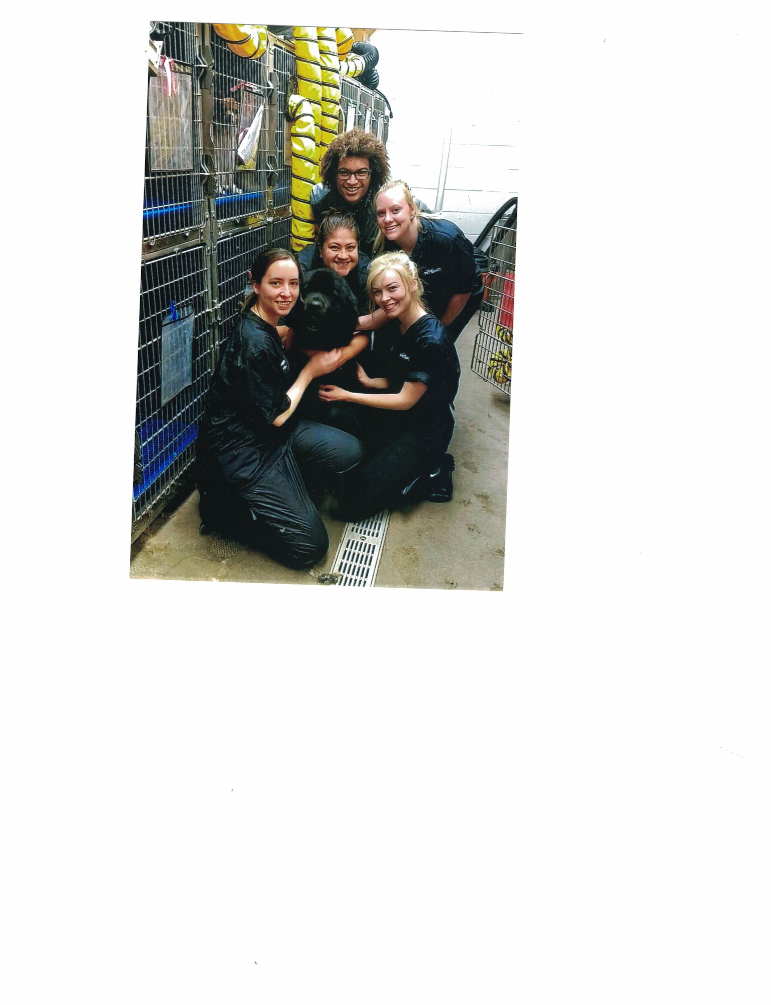 Jack and grooming ladies from pet smart