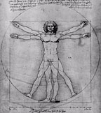 Vitruvian small