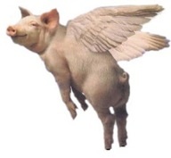 Flying pig to r