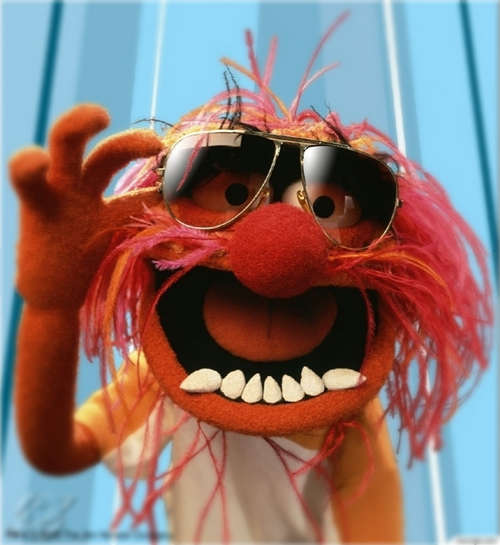 Crazymuppetwithglasses