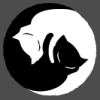 Cat yin yang