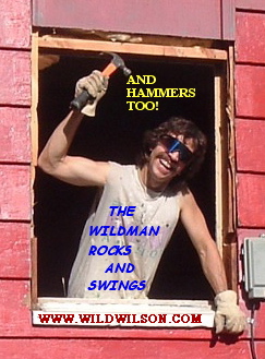 Wildmanrocks hammerstoo4