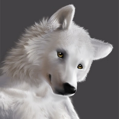 Avatar white wolf by goodwolf 245x245