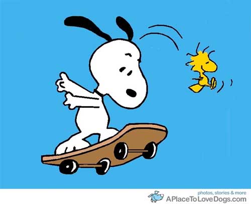 Snoopy rides again