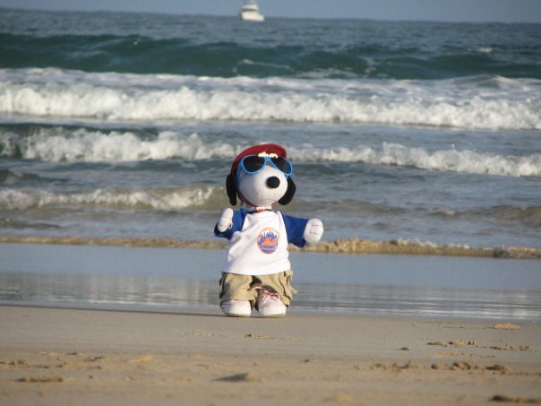 Australia   sunny day on the beach