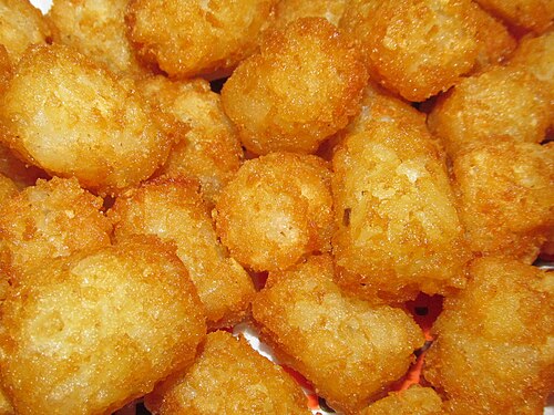 Tater tots close up  24782852665 