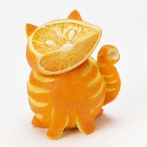 Orange kitty