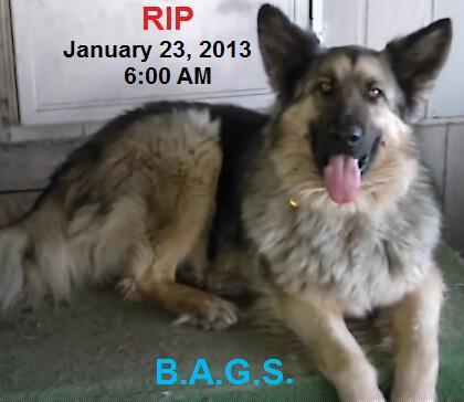 1 bags 2 rest in peace  12  1 23 2013  5 am