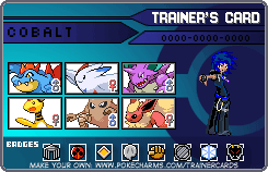 Trainer card 3