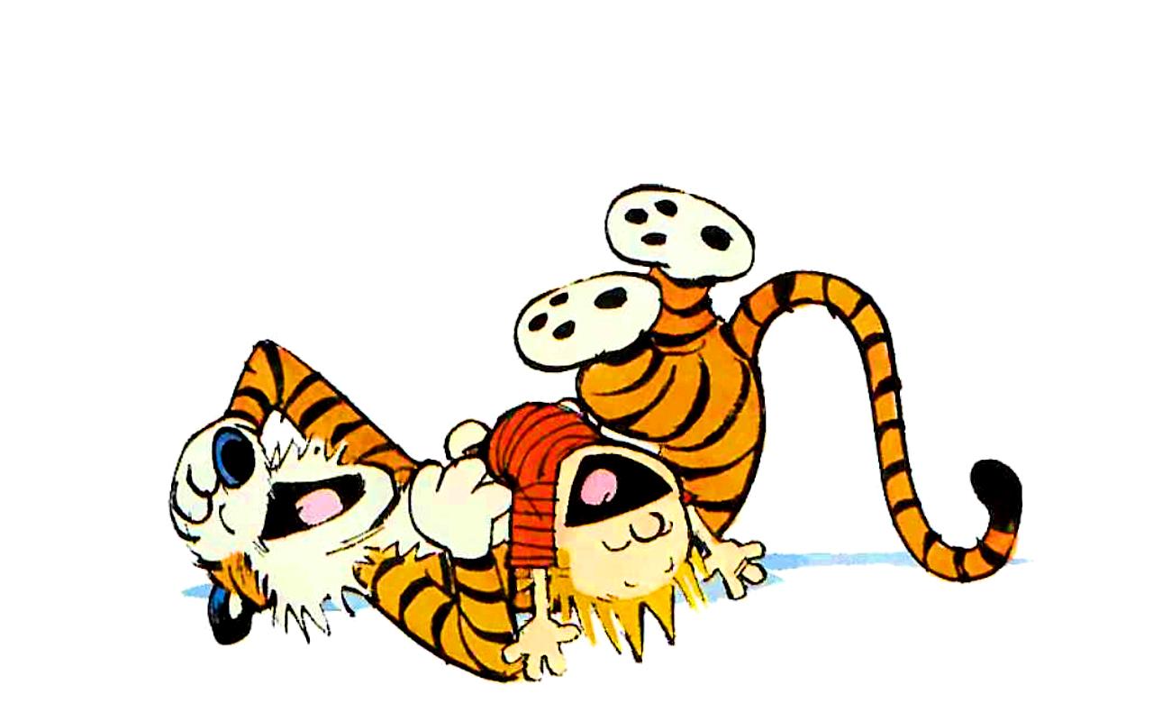 Calvin and hobbes