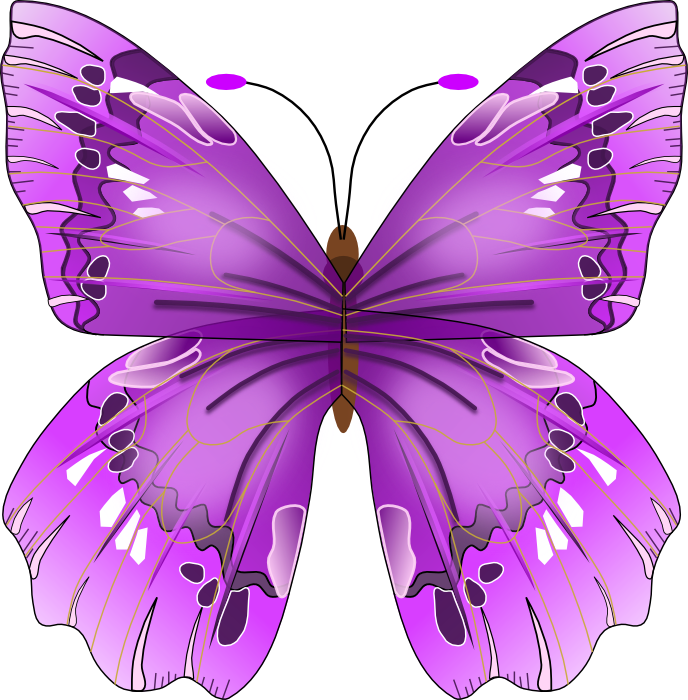 Purple butterfly.jpg
