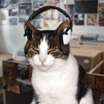 Avatars funny cat with headphones