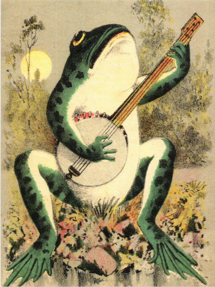 Frogbanjomoon