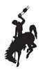 Large no more mask bucking horse