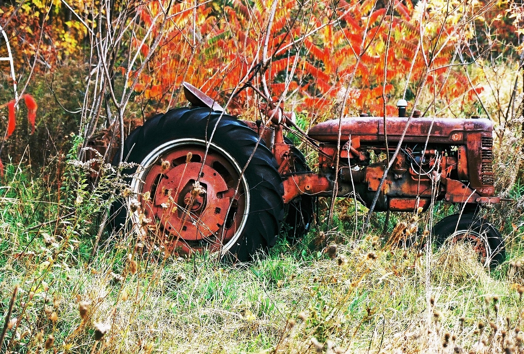 I told you not to let your brother  drive the tractor 