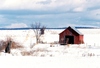 Large barn and wagon