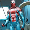 Large spider uk