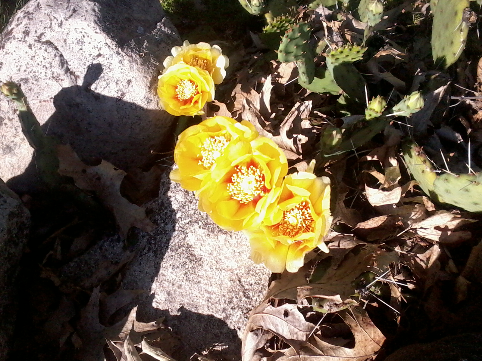 Photo0018