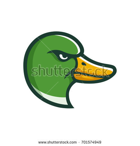 Stock vector angry mallard duck head illustration in cartoon comic style sports team mascot or logo 701574949