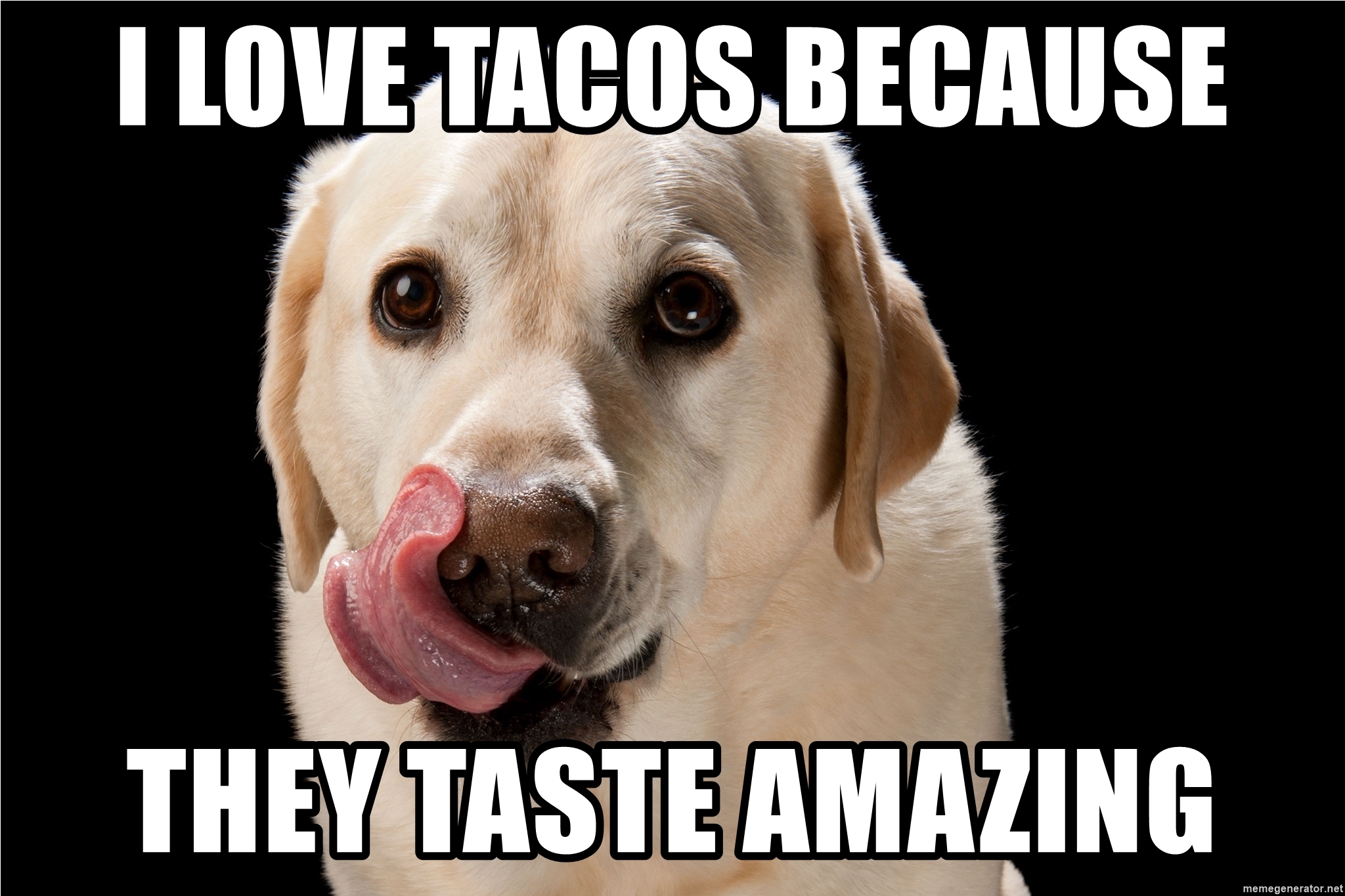 I love tacos because they taste amazing