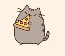 Pusheen cat and pizza