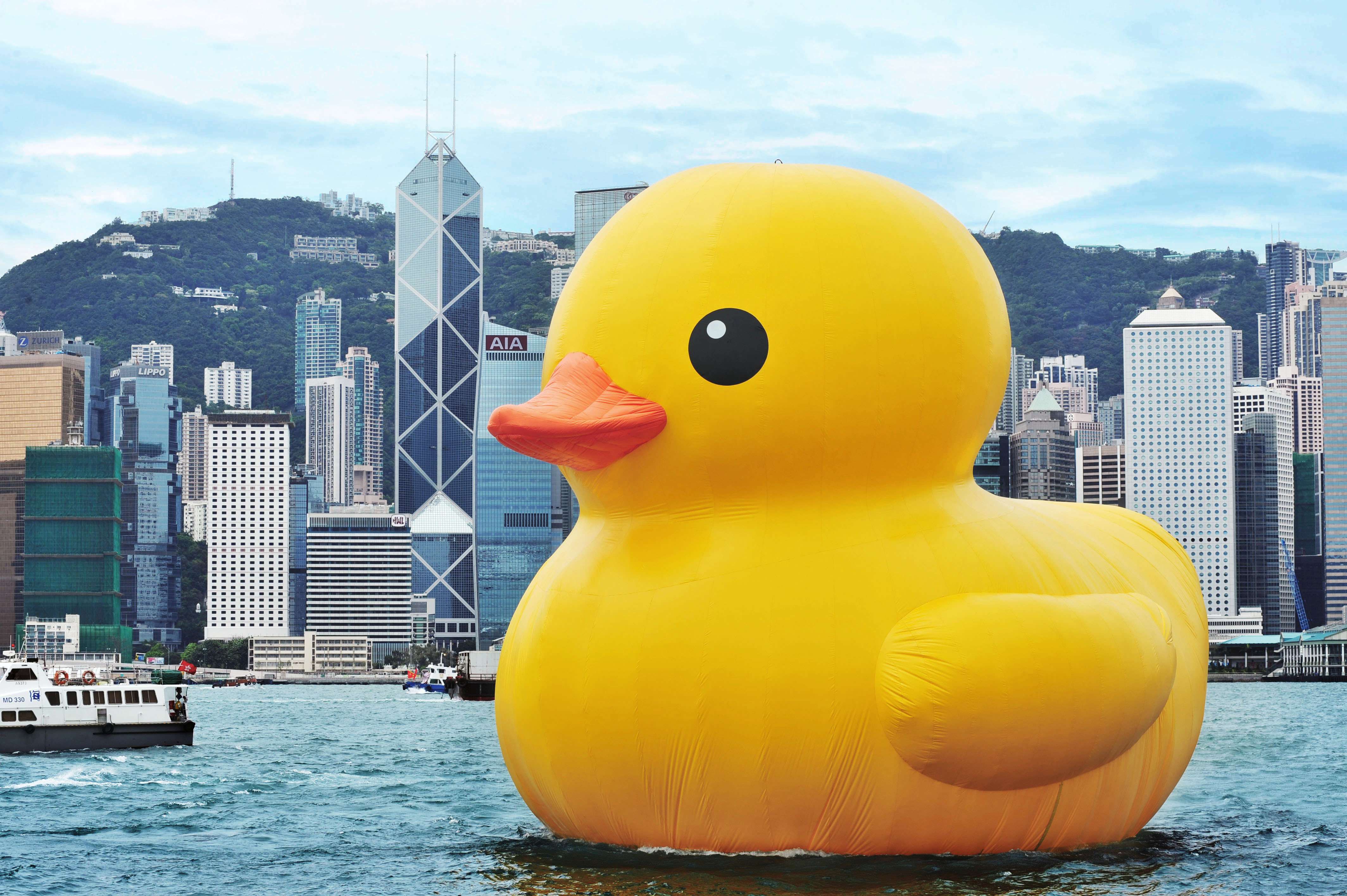 Giant rubber duck 01