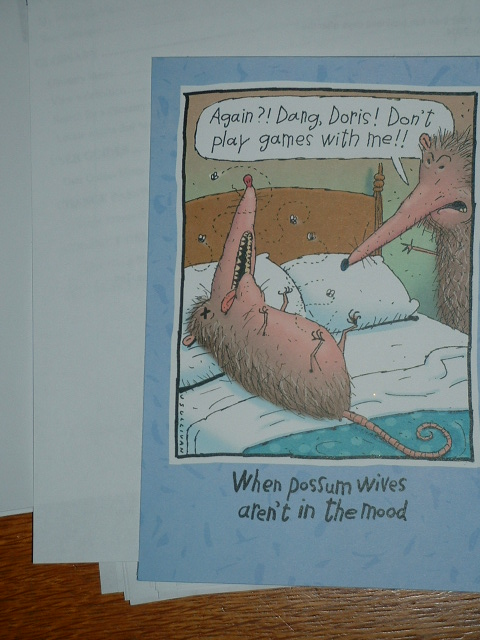 Possum card 002