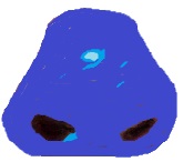 Nose blue 1